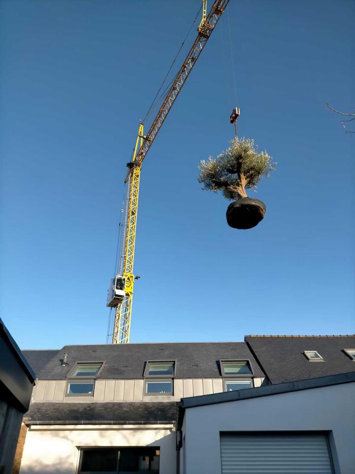 Maintenance des allées ou des terrasses La Roche-sur-Yon